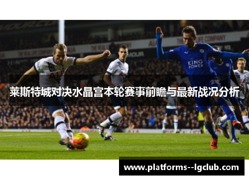 莱斯特城对决水晶宫本轮赛事前瞻与最新战况分析